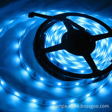 SMD Flexible Waterproof LED Strips, 12V DC, 5 Colors Available/5m/Roll Decorative Lighting